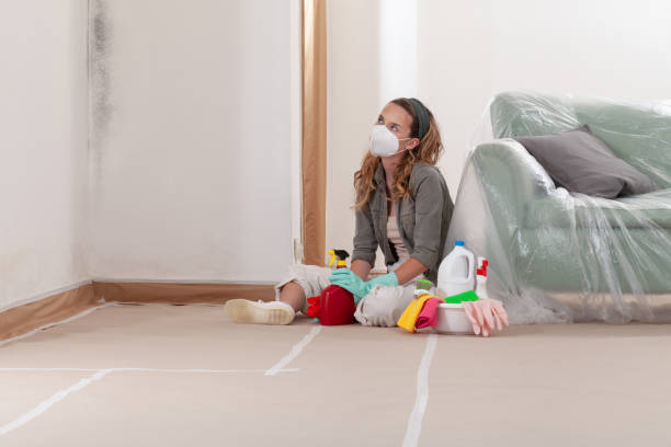 Reliable Basement Mold Removal contractor in Kennedyville, MD by WQB Mold Removal